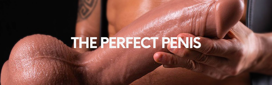 the perfect penis